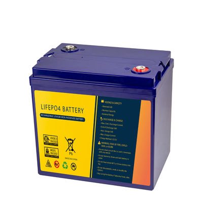 Rechargeable 48V 30Ah Lightweight Motorcycle Battery For Starting