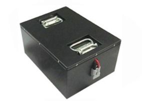 Rechargeable Lifepo4 100Ah 48V Golf Cart Battery Pack Built In BMS