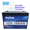 OEM Lithium Lifepo4 12v 100ah Battery With Smart Bms IP65